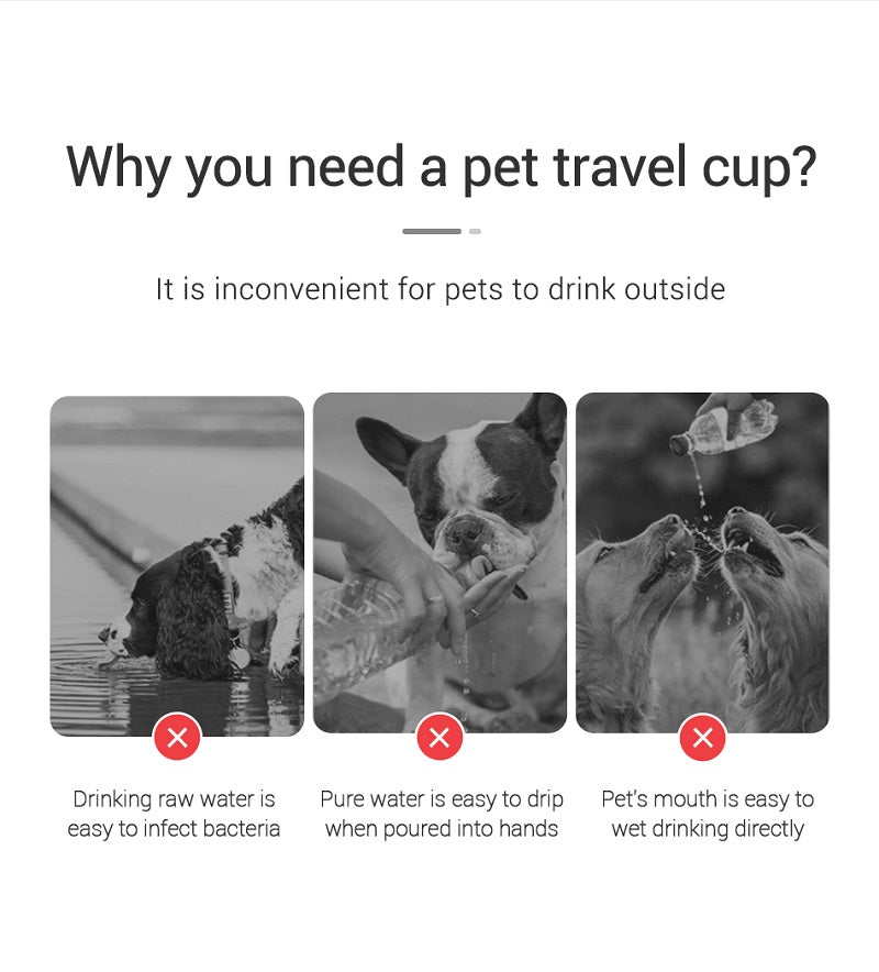 Bouteille d'eau Portable pour chien, pour petits et grands chiens, chat, extérieur, étanche, bols à boire