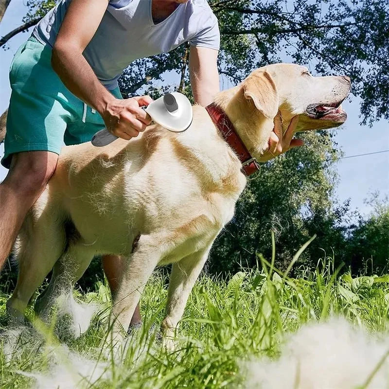 Brosse pour chiens et chats, peigne autonettoyant, brosse démêlante