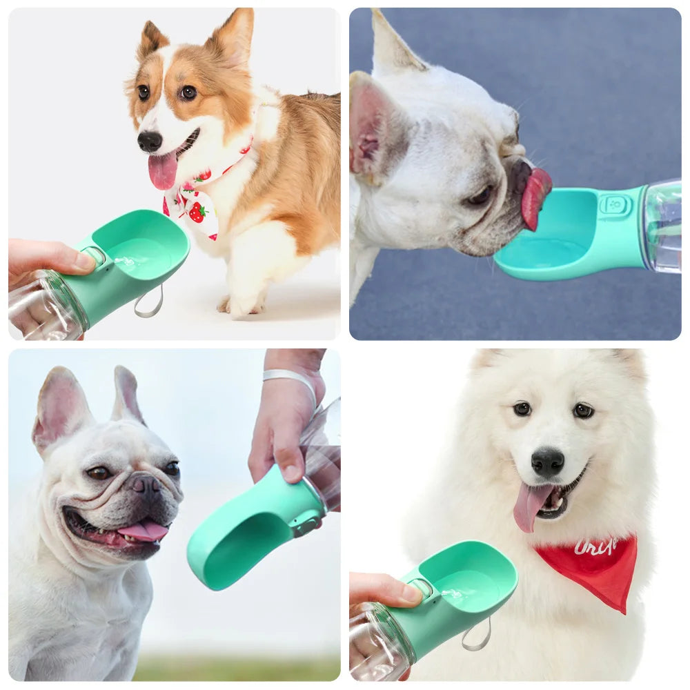 Bouteille d'eau Portable pour chien, pour petits et grands chiens, chat, extérieur, étanche, bols à boire