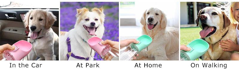 Bouteille d'eau Portable pour chien, pour petits et grands chiens, chat, extérieur, étanche, bols à boire