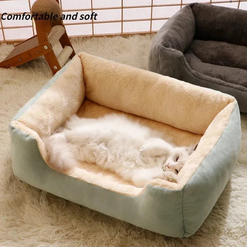 Lits pour chats, produits pour animaux, coussins, accessoires d'hiver pour chatons, chiens.