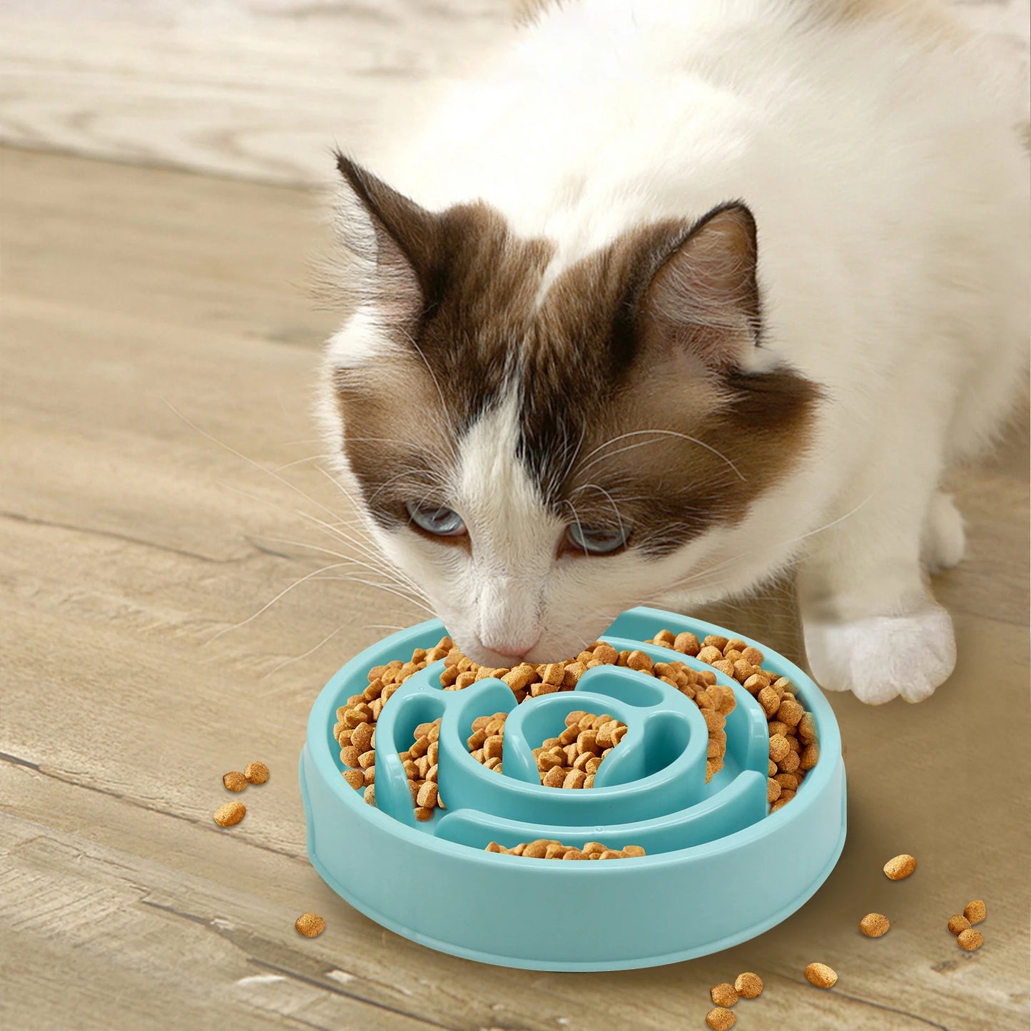 Bol d'alimentation lente pour chien de compagnie, amusant, antidérapant, Anti-grippage, plats d'alimentation, bol écologique pour grands, moyens et petits chiens, chiots