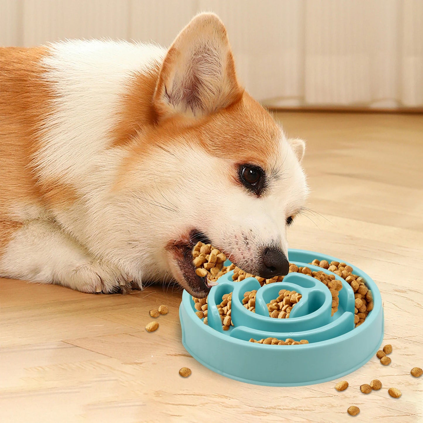 Bol d'alimentation lente pour chien de compagnie, amusant, antidérapant, Anti-grippage, plats d'alimentation, bol écologique pour grands, moyens et petits chiens, chiots