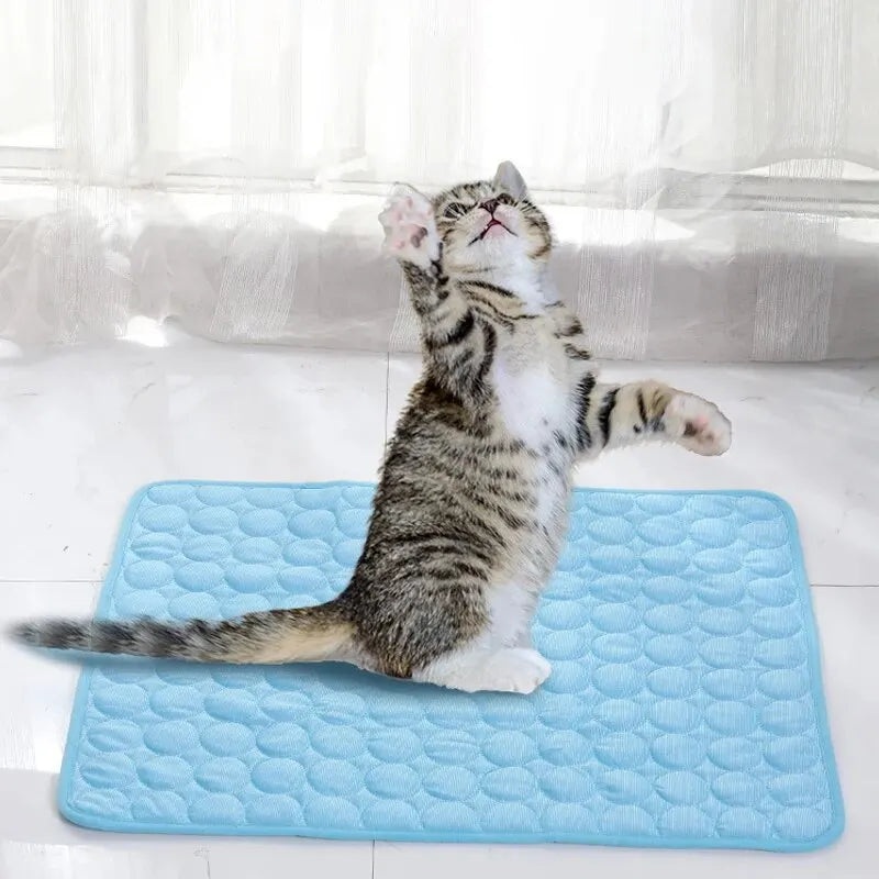 Tapis rafraîchissant pour animaux de compagnie, idéal pour l'été, pour chats et chiens.